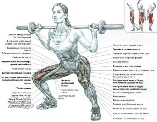 Ноги!  Только лучшее анатомия. 05