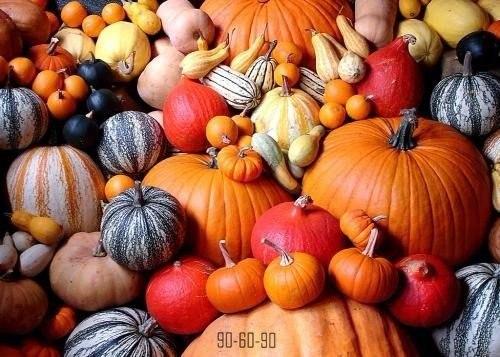 22 самых полезных и нужных продукта нашему здоровью. 04 22 самых полезных и нужных продукта нашему здоровью. 04