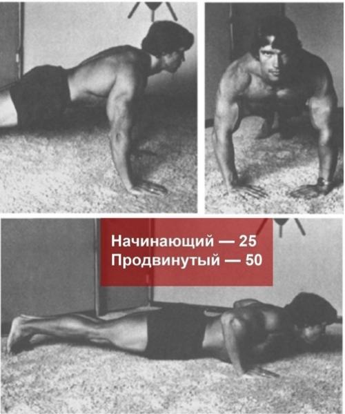 Лучшая тренировка по арни. 06