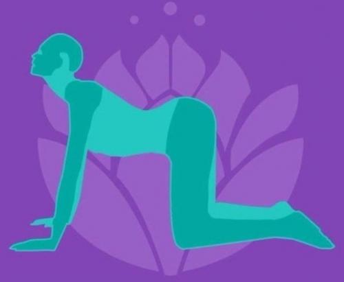 Асаны против плохого самочувствия? 01