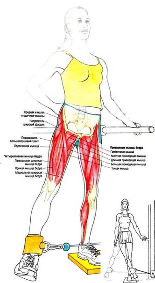 Упражнения для ягодиц и ног (для женщин). 01