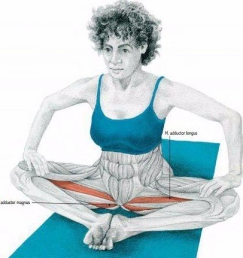 Важная составляющая тренировок - растяжка! 02