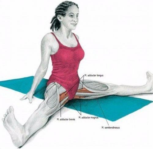 Важная составляющая тренировок - растяжка! 08