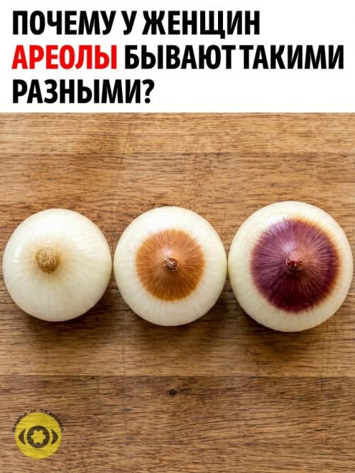 Многие замечали, что у разных женщин ореолы сосков могут сильно отличаться по размеру, цвету и форме.  