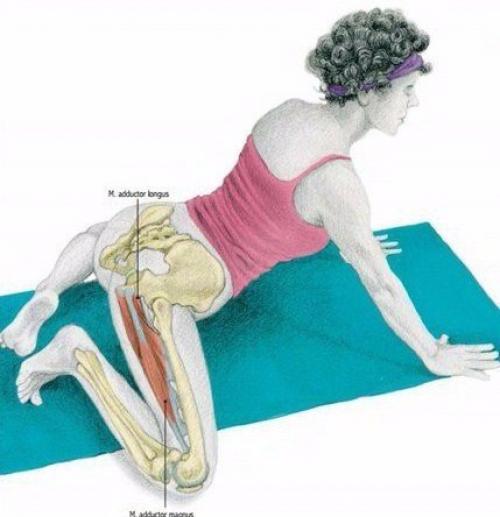 Важная составляющая тренировок - растяжка! 05