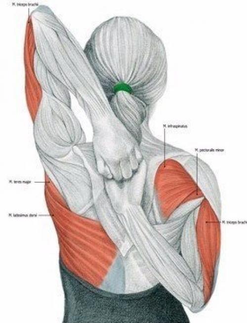Важная составляющая тренировок - растяжка! 03
