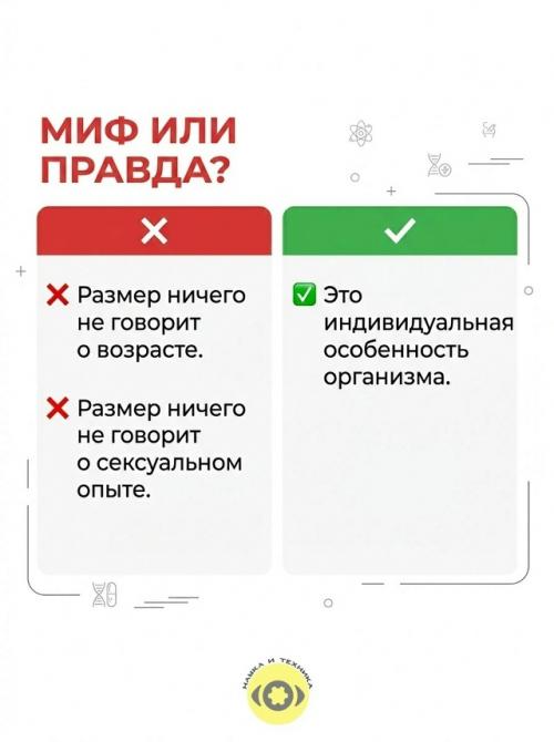 Многие замечали, что у разных женщин ореолы сосков могут сильно отличаться по размеру, цвету и форме. 01