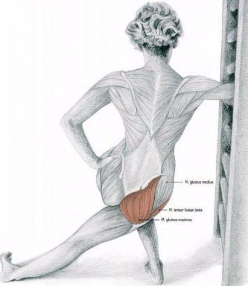 Важная составляющая тренировок - растяжка! 07