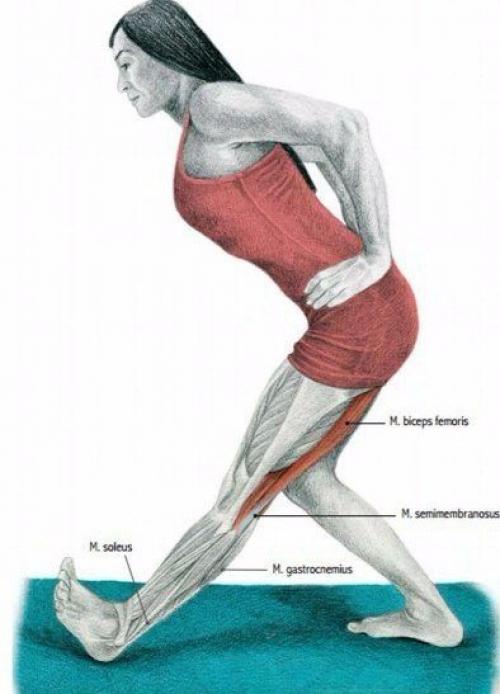 Растяжка мышц до и после тренировки. 04 Растяжка мышц до и после тренировки. 04