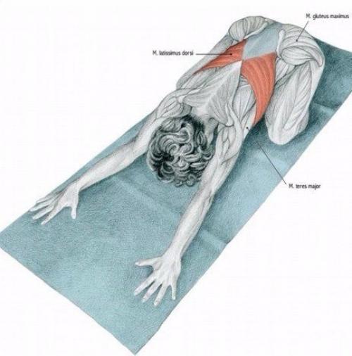 Растяжка мышц до и после тренировки. 02 Растяжка мышц до и после тренировки. 02
