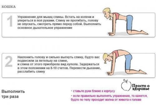 Дыхательная гимнастика бодифлекс - комплекс упражнений для похудения. 08 Дыхательная гимнастика бодифлекс - комплекс упражнений для похудения. 08