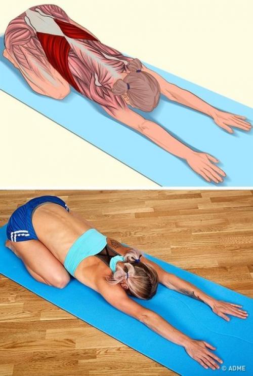 Растяжка необходима не только для тех, кто активно занимается спортом, но и тем, кто ведет сидячий образ жизни. 01 Растяжка необходима не только для тех, кто активно занимается спортом, но и тем, кто ведет сидячий образ жизни. 01