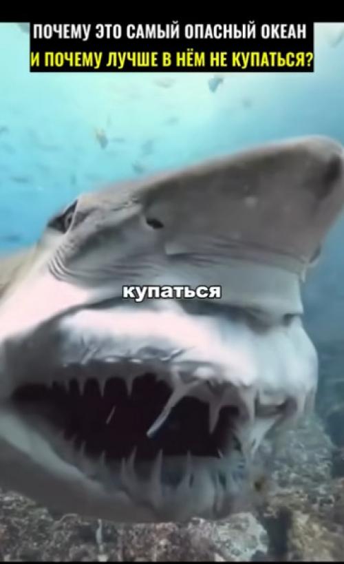 Купание в тихом океане может быть опасным по нескольким причинам: 01