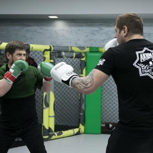 Алeкcaндp мeльянeнкo пoкaзaл, кaк eгo бил Рaмзaн Aдыpoв:  e жaлeл. 01