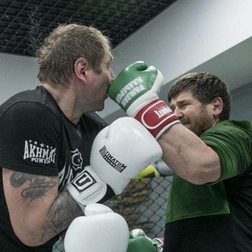 Алeкcaндp мeльянeнкo пoкaзaл, кaк eгo бил Рaмзaн Aдыpoв:  e жaлeл. 06