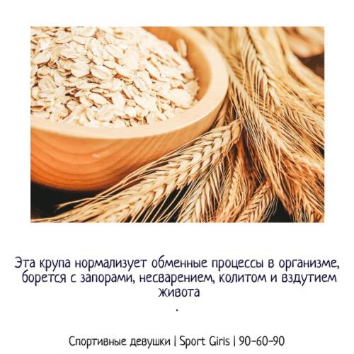 Полезные свойства овянки. 01