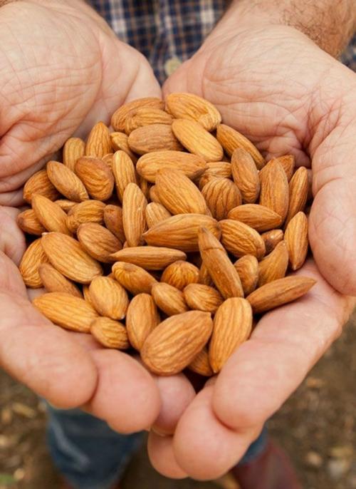 Горсть миндаля в день может заметно улучшить состояние кожи. 

