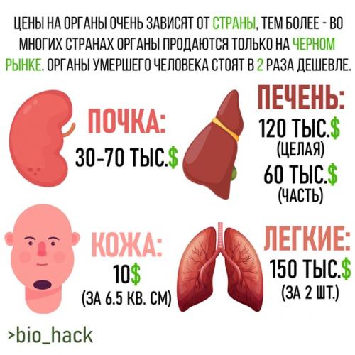 Стоимость органов картинки