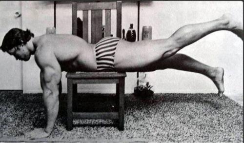 Тренировка Арнoльд шварценеггер у себя дома. 03