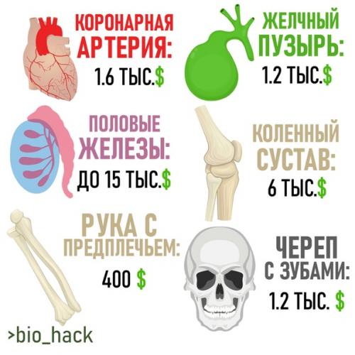 Сколько стоит тело человека? 03