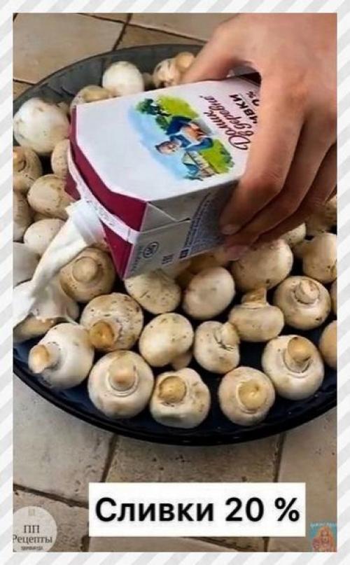 Спортивные девушки. Грибы отличной альтернативой мясу являются. 02