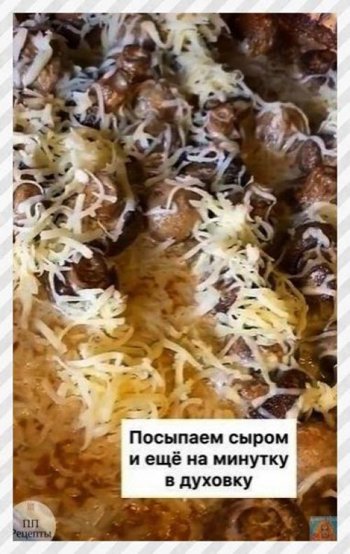 Спортивные девушки. Грибы отличной альтернативой мясу являются. 07