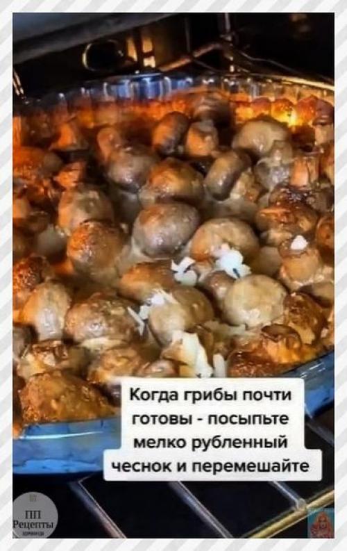 Спортивные девушки. Грибы отличной альтернативой мясу являются. 06