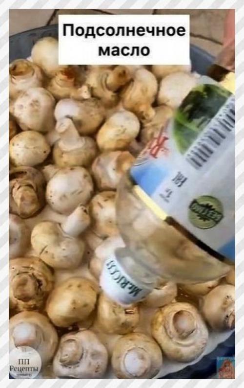 Спортивные девушки. Грибы отличной альтернативой мясу являются. 04