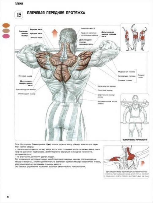 Программа тренировки дельт. 02