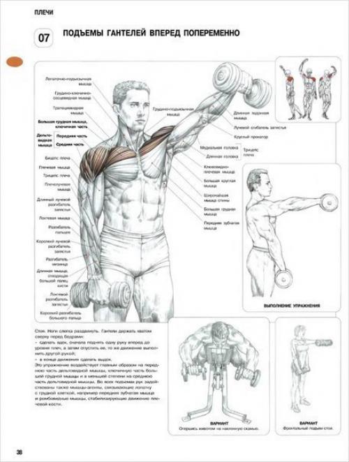 Программа тренировки дельт. 03