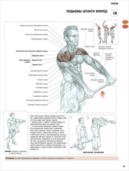 Программа тренировки дельт. 01
