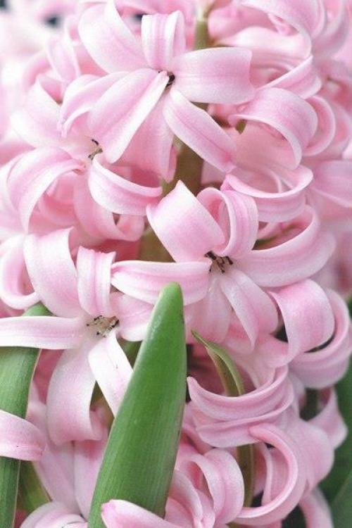 Доброе вечер. Не разрешайте себе плохое настроение. 05