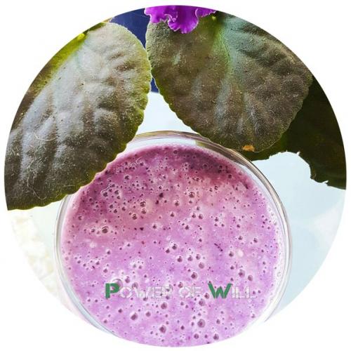 Сила природы для вашей фигуры: 6 полезных и очень вкусных коктейлей. 02