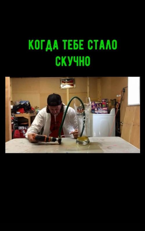 Что может быть лучше, чем путешествие на авто со своим псом! 01