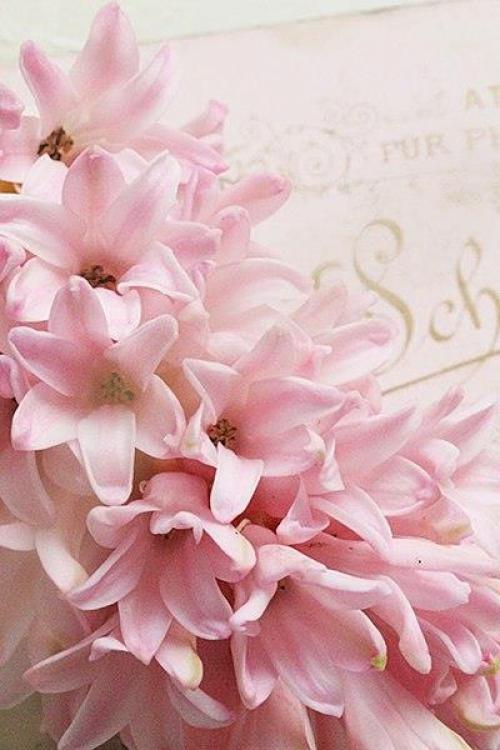 Доброе вечер. Не разрешайте себе плохое настроение. 03