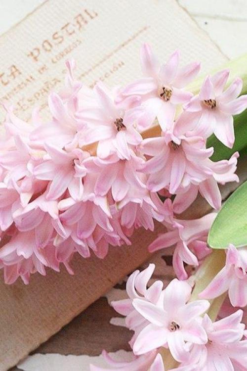 Доброе вечер. Не разрешайте себе плохое настроение. 02