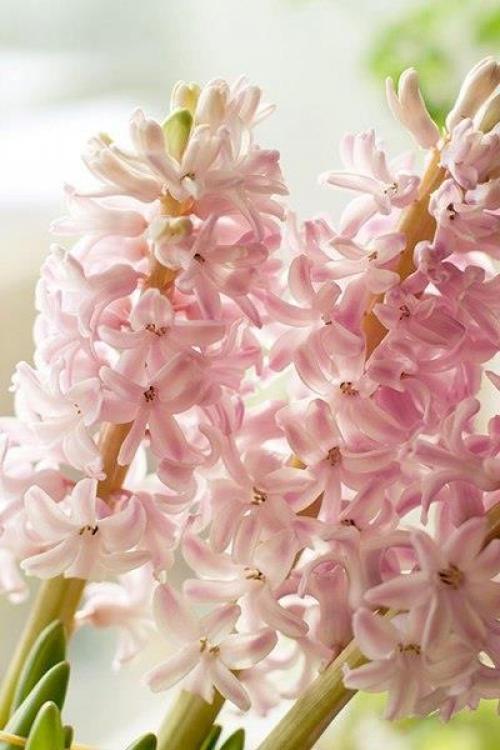 Доброе вечер. Не разрешайте себе плохое настроение. 04