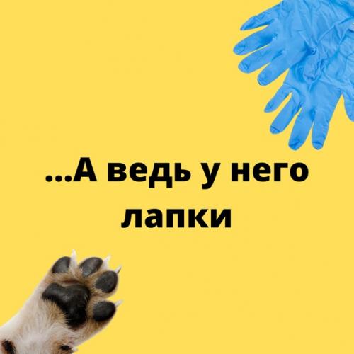 Идешь в ЗАЛ?  Не забудь маску. 01 Идешь в ЗАЛ?  Не забудь маску. 01