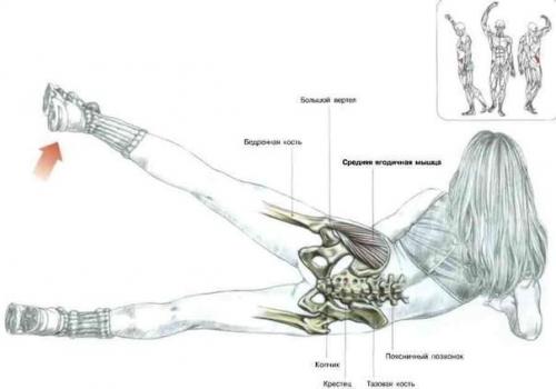 Как правильно приседать. 07 Как правильно приседать. 07