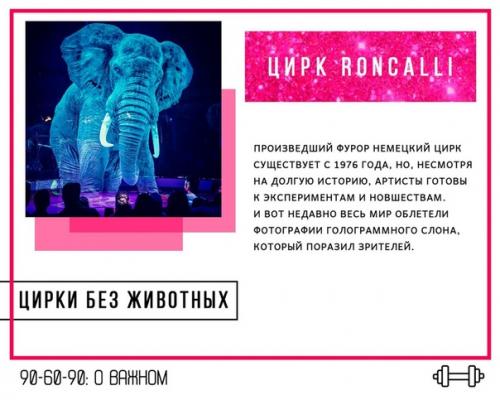 5 мировых цирков, которые отказались от выступлений с животными, но нашли чем удивить зрителей. 04