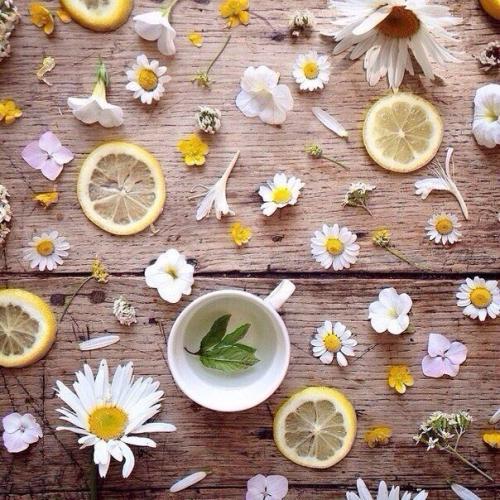 Домашний чай для похудения. 03 Домашний чай для похудения. 03