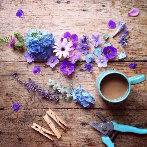 Домашний чай для похудения. 02 Домашний чай для похудения. 02