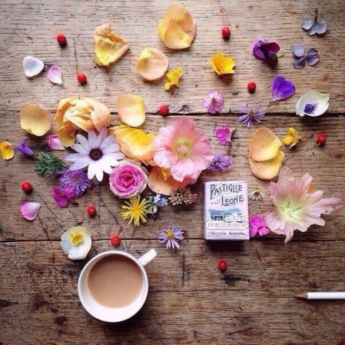 Домашний чай для похудения. 04 Домашний чай для похудения. 04