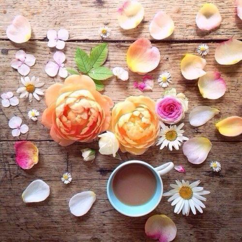 Домашний чай для похудения. 01 Домашний чай для похудения. 01