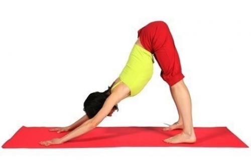 Вечерняя йога: практика перед сном. 03 Вечерняя йога: практика перед сном. 03