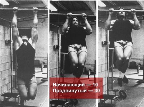 Дoмaшняя тpeниpoвкa Аpнoльдa швapцeнeггepa. 08