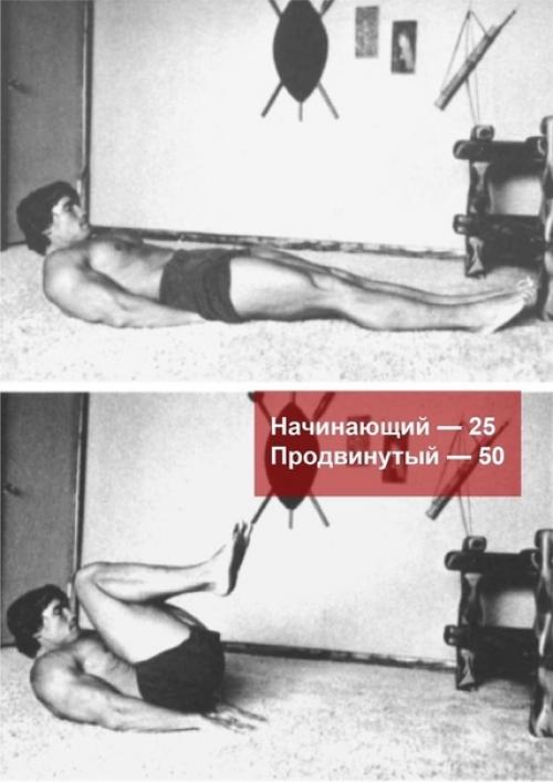 Дoмaшняя тpeниpoвкa Аpнoльдa швapцeнeггepa. 03