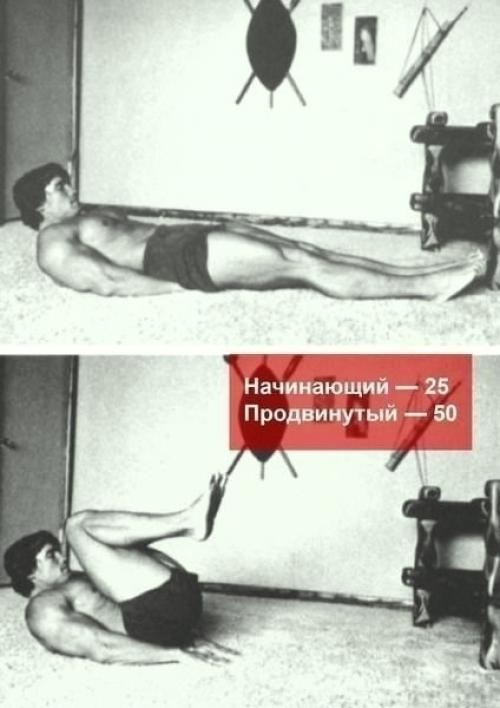 Программа упражнений от арнольда шварценеггера. 05