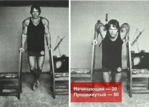 Программа упражнений от арнольда шварценеггера. 02