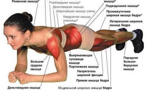 Полезное статическое упражнение 